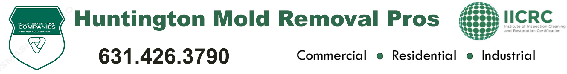 Huntington Mold Removal Pros